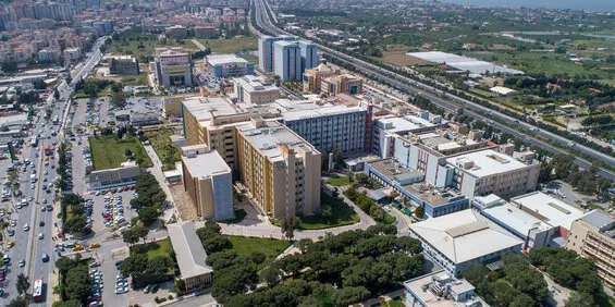 Dokuz Eylul Üniversitesi