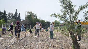 İzmir’de toprağın gücü kadınların ellerinde: Bornova’dan umut yeşeriyor