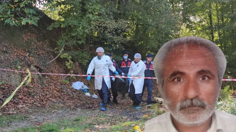 Nourtani Davası İstinafa Taşındı: Yakma Eylemi Cezasız Bırakıldı