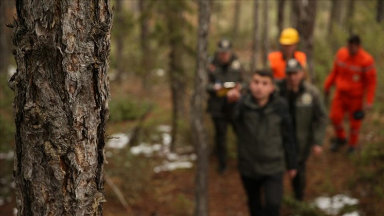 Orman Genel Müdürlüğü 105 Personel Alımı Yapacak: Son Tarih ve Başvuru Şartları
