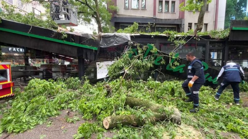 150 Yıllık Ağaç Kafeye Devrildi: 2 Yaralı