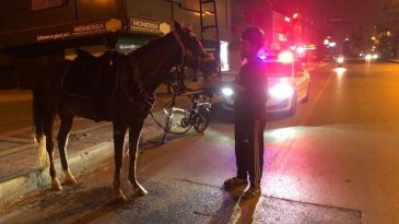 Atla giderken ‘alkollü araç kullanmak’tan ceza yedi