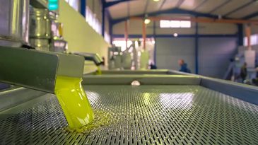 Bakanlık yeni tağşiş listesini açıkladı, 37 ürün tek tek sıralandı: İzmir’de zeytinyağında büyük skandal