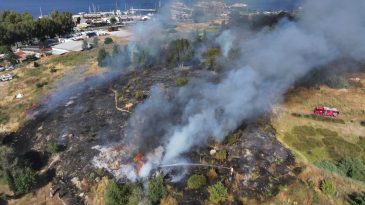 Balçova’da Otluk Alanda Yangın Kontrol Altına Alındı
