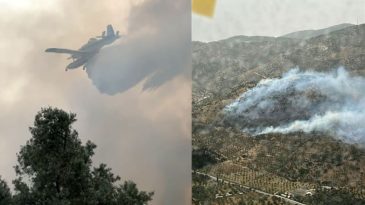 Bayındır’da Zeytinlikte Yangın, Kontrol Altına Alındı