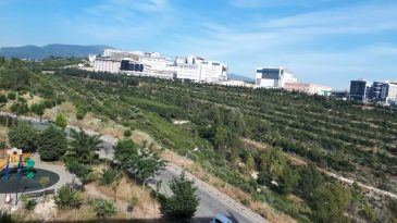 Doğa Tutkunlarının Yeni Gözdesi: Barış Manço Ormanı Nerede? Nasıl Gidilir?