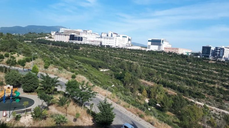 Doğa Tutkunlarının Yeni Gözdesi: Barış Manço Ormanı Nerede? Nasıl Gidilir?