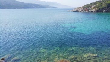 Ege Denizi’nde yeni bir tür keşfedildi: Türkiye’de bir ilk