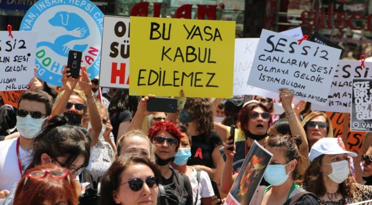 Fevziye Özkan’dan çarpıcı çıkış: Katletmeden 2 yılda sorun çözülür