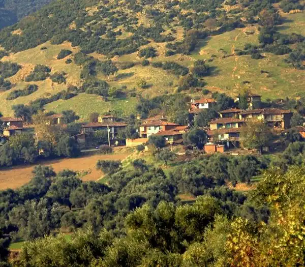 Günlüce Köyü Taş Evler