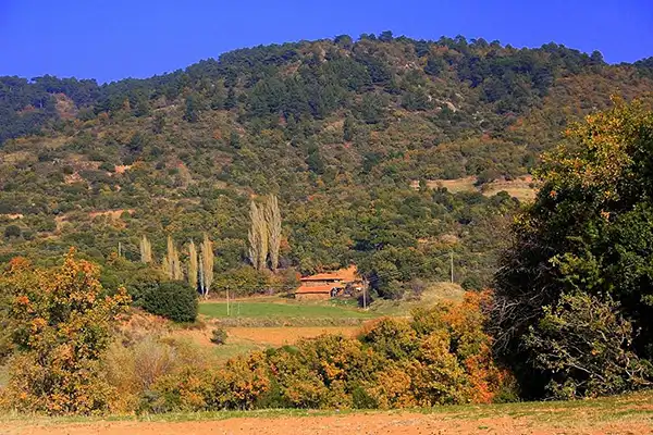 Günlüce Köyü Görseli