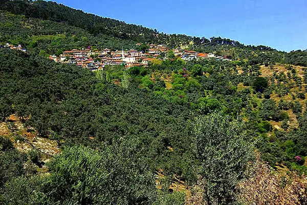 Hisarlık Köyü Manzarası