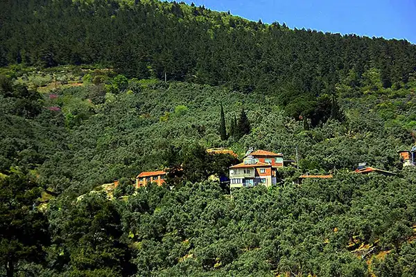 Köydeki Kahve Alanı