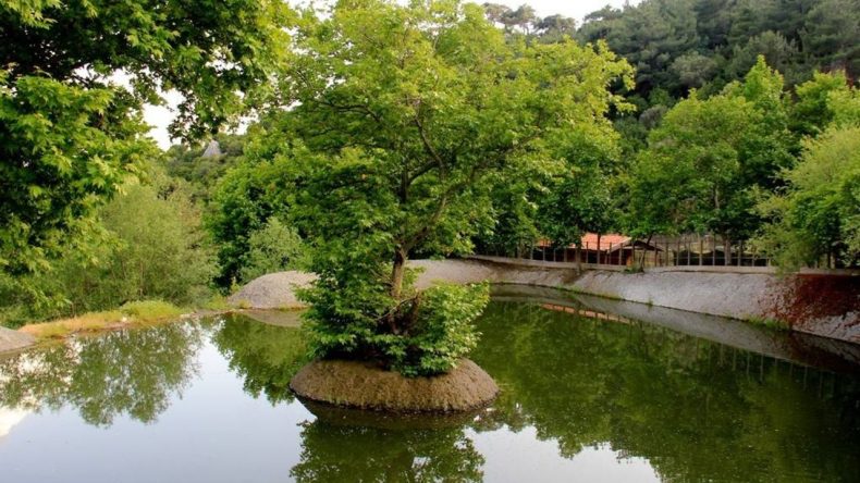 Homeros Vadisi: İzmir’in Kalbinde Baharın Renkleriyle Bir Buluşma Noktası