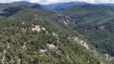 İl Müdür Yardımcısı Adil Bartu Kayboldu: 100 Kişilik Arama Ekibi Görevlendirildi!