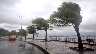 İzmir Büyükşehir Belediyesi’nden Fırtına Uyarısı: 16-17 Mayıs’a Dikkat