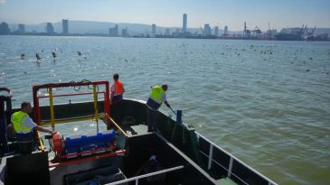 İzmir Körfezi’nde Temizlik İçin Tarihi Gelişmeler: 7 Gemi İle Çalışmalara Başlandı