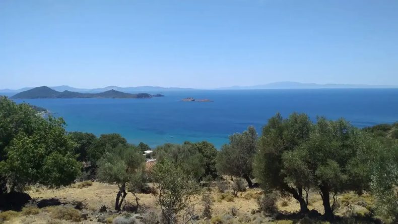 İzmir’de Çadırınızı Alın, Zeytin Ağaçları Arasında Eos Kamping’e Gidin