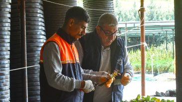 İzmir’de Doğayla İç İçe Çalışma: Parklar ve Bahçeler Hayat Buluyor