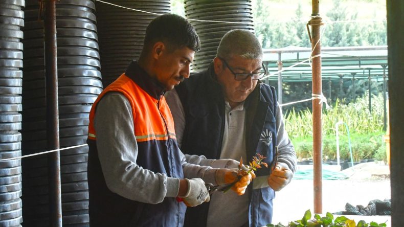 İzmir’de Doğayla İç İçe Çalışma: Parklar ve Bahçeler Hayat Buluyor