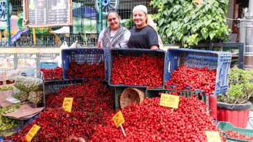 İzmir’de kültür ve eğlence dolu etkinlik: 18. Belenbaşı Yörük Kültürü ve Kiraz Festivali