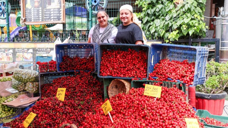 İzmir’de kültür ve eğlence dolu etkinlik: 18. Belenbaşı Yörük Kültürü ve Kiraz Festivali