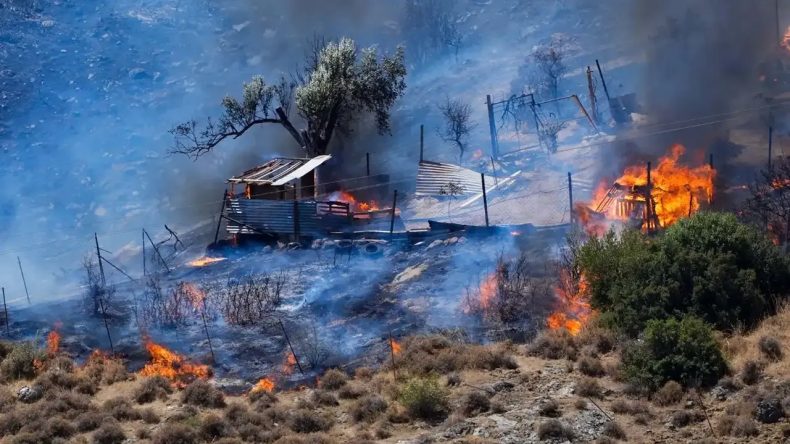 İzmir’de Ormanları Korumanın Maliyeti: 180 Bin TL