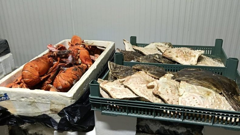 İzmir’de usulsüz avcılığa geçit yok: Cezalar peş peşe geldi
