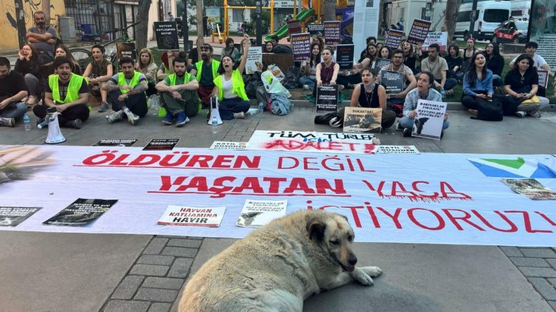İzmir’de Yaşam Hakkı Savunucularından Anayasa Mahkemesi’ne tepki: Bugün can dostlarımızın ölümünü meşrulaştırmıştır
