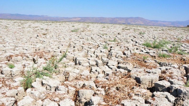 İzmir’deki Barajlarda Kuraklık Alarmı: Geçen Yıla Göre Düşüş