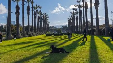 İzmir’e Yeşil Koridor Geliyor: Kültürpark ve Yeşildere Bütünleşecek