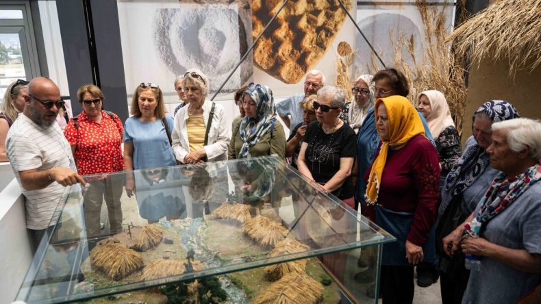 İzmirli Çınarlar Tarihin Derinliklerine Yolculuk Yaptı