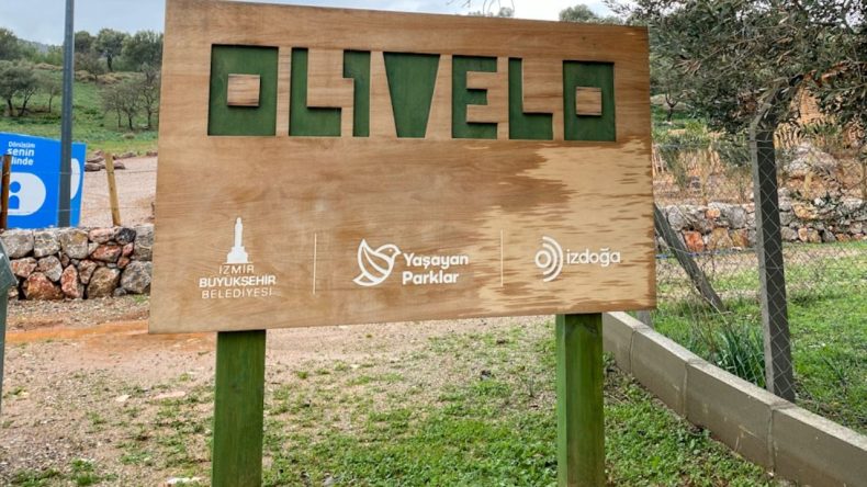 İzmirlilerin Doğayla Buluşma Noktası: Olivelo Yaşayan Park’a Ulaşım Rehberi