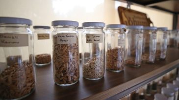 Karşıyaka’da Yerel Tohum Seferberliği: Merkezde 120 Bin Tohum Paketi Hazır Bekliyor