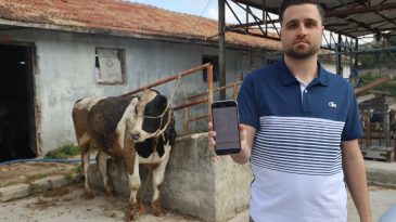 Kurbanlık almak isterken 200 bin TL dolandırıldı: Yeni tezgaha dikkat!