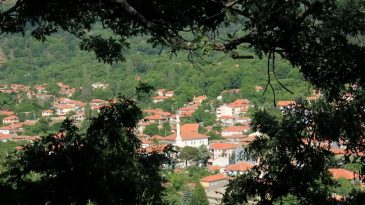 Meşe ve Çam Ormanlarının Ortasında Eşsiz Bir Doğa: Yazın Serinlemek ve Piknik Yapmak İçin Tercih Edilen Bir Yer