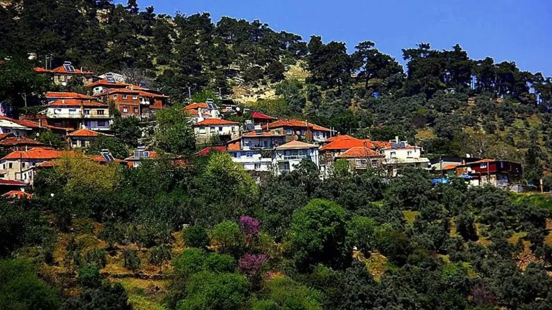 Nereye baksan yeşil, nereye baksan ağaç: İzmir’de tam da ormanın ortasında bol oksijenli bir köy