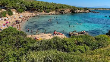 Ormanın İçinde Gizli Bir Cennet: Deniz Gözlüklerinizi Hazırlayın, Balıkları İzleyerek Yüzeceksiniz