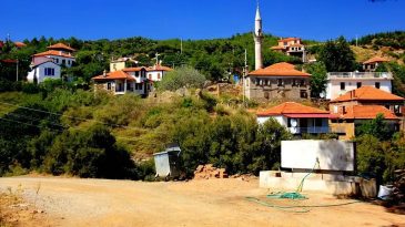 Seferihisar Orhanlı Köyü’ne ESHOT ile Ulaşım Rehberi