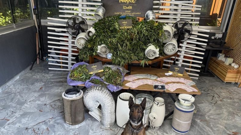 Seferihisar’da Şok Uyuşturucu Operasyonu: Villa’da Sera Düzeneği Ele Geçirildi