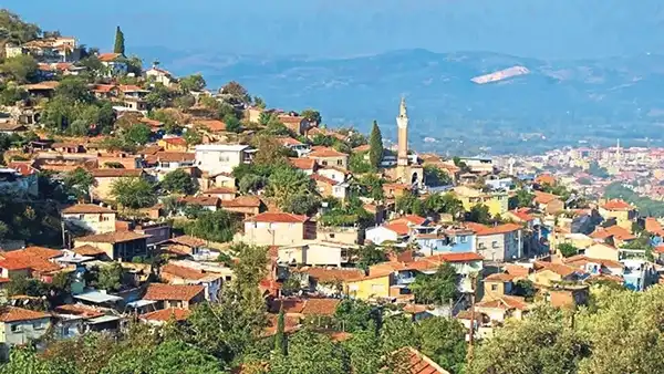 Tire Salı Pazarı