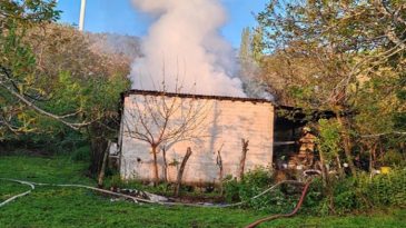 Tire’de Alevlerden Kurtarılan Kişi Hastanede Hayatını Kaybetti