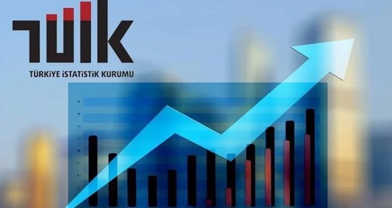 TÜİK Enflasyon Rakamlarını Duyurdu