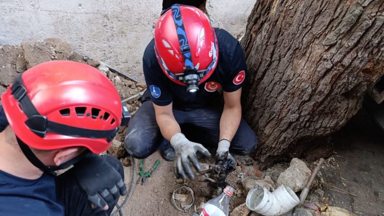 Yavru Kediyi Havalandırmadan Kurtaran İzmir İtfaiyesi