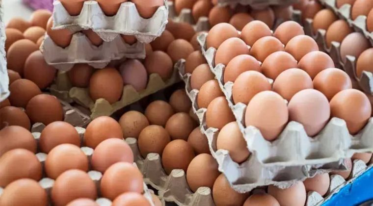 Yumurta Fiyatlarında Düşüş: Rekor Kırdı, Şimdi Etiketler Yenileniyor!