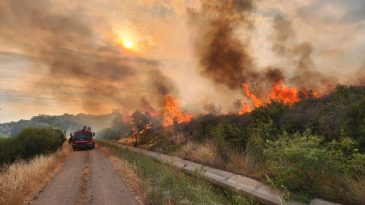 113 Orman Yangını &Ccedil;ıktı: 3 Kişi G&ouml;zaltına Alındı