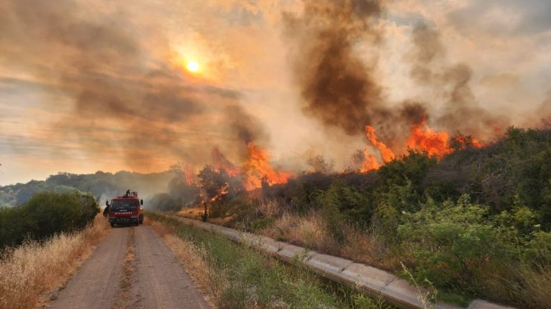 113 Orman Yangını Çıktı: 3 Kişi Gözaltına Alındı