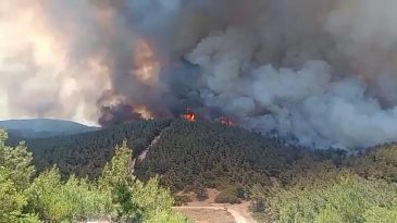 20 Saat Sonra Kontrol Altına Alınmıştı: Fo&ccedil;a'da Alevler Yeniden Y&uuml;kseldi!