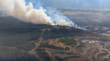 Aliağa’da Orman Yangını Kontrol Altına Alındı!