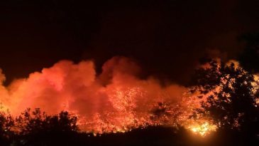 Aliağa&rsquo;da Orman Yangını Nedeniyle Bir Kişi G&ouml;zaltına Alındı